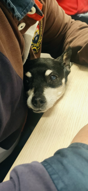 Il tempo che passa cambia i punti di vista